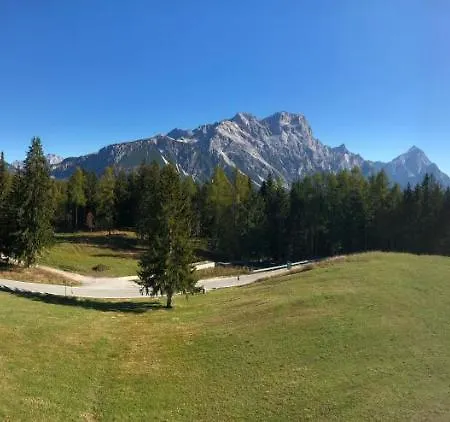 Sport 3*
